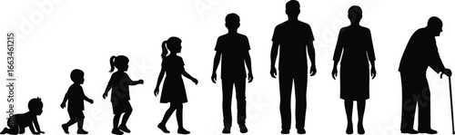 Silhouettes of human life stages from crawling baby to elderly man with cane vector illustration