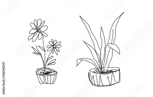 Sketch of flowers on a pot