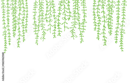 curtain creeper Lee kwan yew  frame background illustration.eps