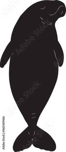 Manatee Sensing Body still with flippers extended outward, sensing the surrounding environment. full length silhouette black vector illustration