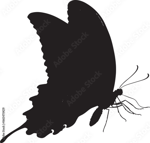 Butterfly Landing Body descending toward a surface with wings in a folded position ready to land. full length silhouette black vector illustration