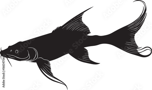 Catfish Resting Body still on the riverbed or bottom of the water with fins relaxed and tail curled. full length silhouette black vector illustration