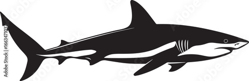 Shark in motion streamlined form, fins unfurled, and tail fin propelling forward in a black vector outline.