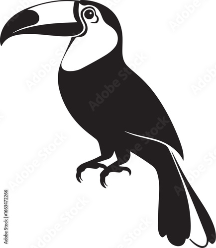 Toucan in motion body slightly elevated, legs bent, wings tucked in, and tail raised while hopping in a full-length silhouette.