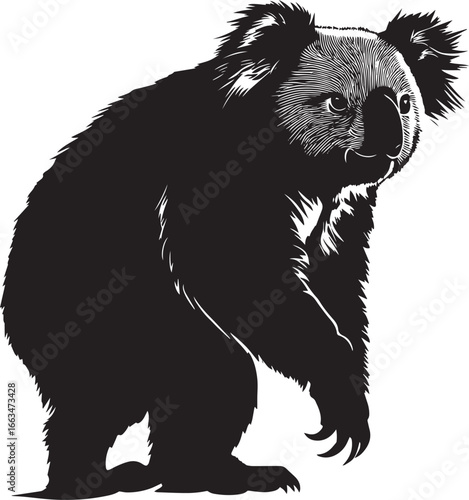 Koala in Motion Gentle movement, body low, paws taking soft steps, silhouette illustration.