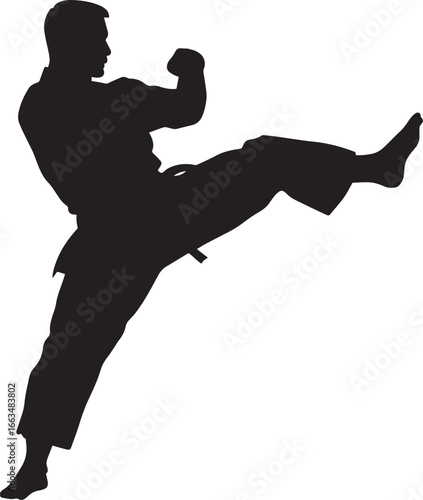 A black vector image of a man executing a powerful kick.