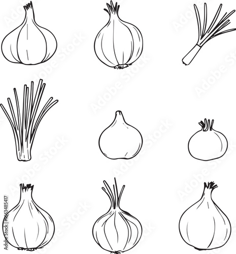 Layers of Life — nine onion forms in quiet botanical rhythm