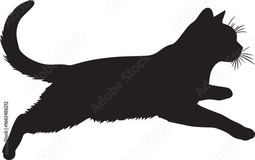 Chasing Cat Silhouette A cat in full sprint, tail straight, ears back. full length silhouette black vector illustration