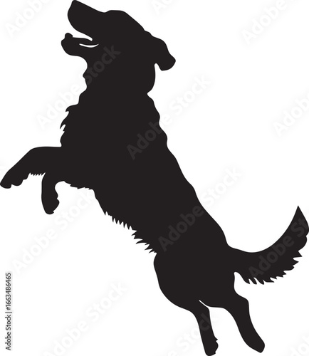 Leaping Dog Silhouette A dog mid-air, captured in a dynamic jump, full-length black silhouette vector illustration.