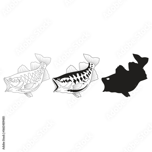 sea bass fish vector silhouette