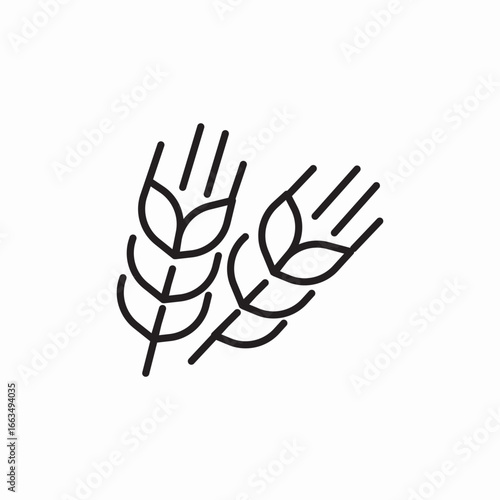 barley millet icon sign vector