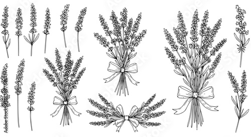 Delicate lavender bouquet line art, perfect for wedding invitations and elegant floral designs, scalable