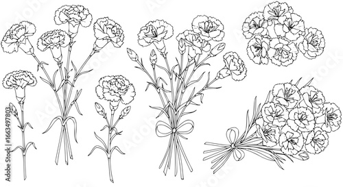 Elegant carnation bouquets, perfect for timeless designs and heartfelt messages of love and remembrance