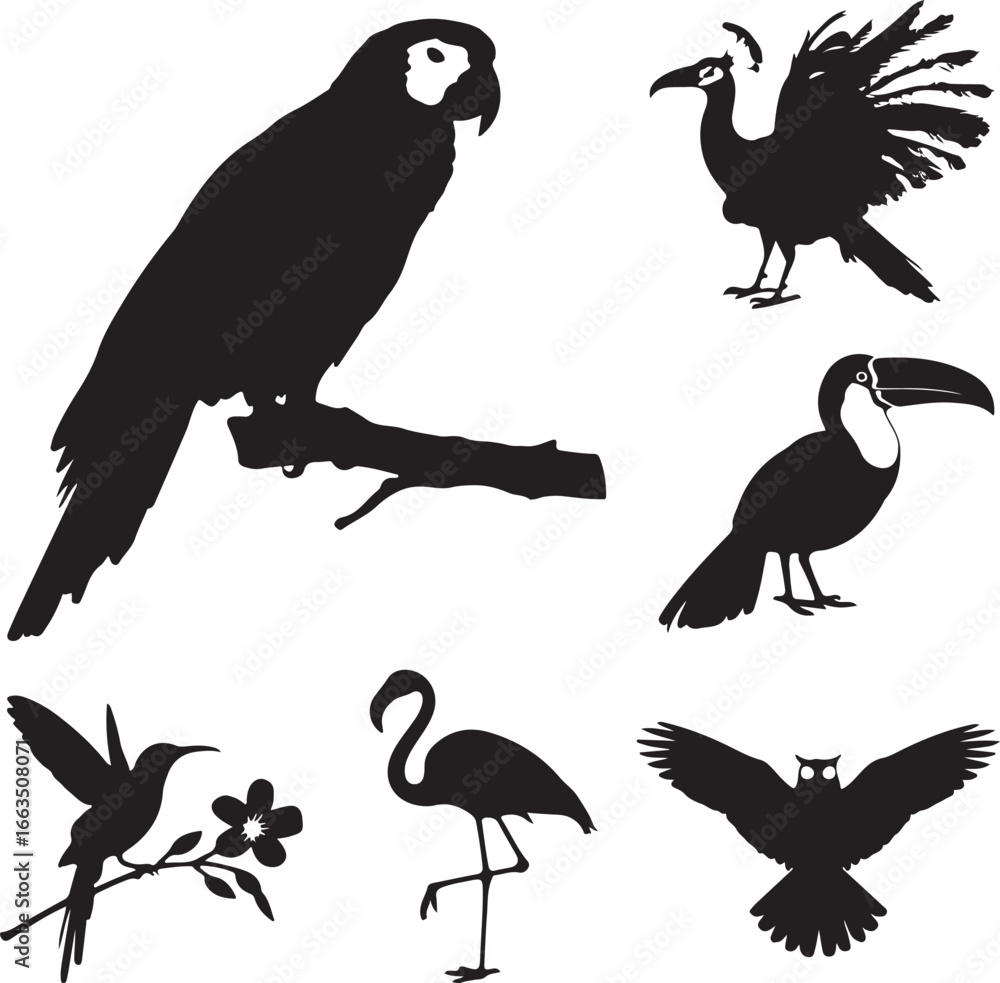 Naklejka premium Diverse bird silhouettes on white parrot toucan