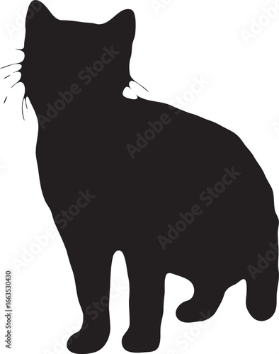Silhouette Standing Cat Pet Animal 