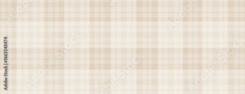 Plaid simple print vector background