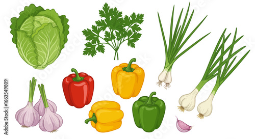 Fresh vegetables collection with cabbage, peppers, garlic, spring onions, and herbs
