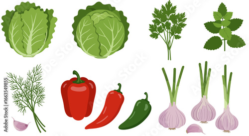 Fresh vegetables and herbs collection: cabbage, peppers, and garnish greens