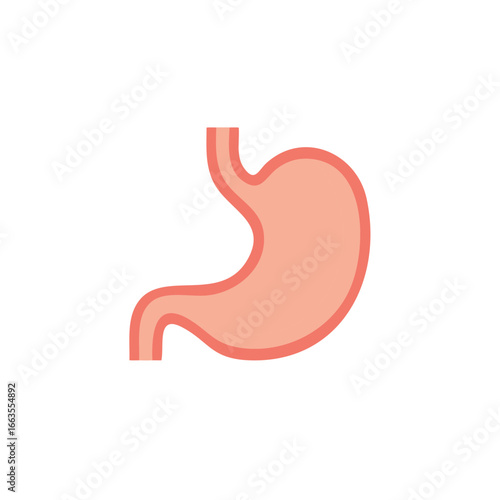 Stylized stomach illustration, health concept, graphic representation of internal organ, digestive system health