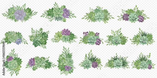 A beautiful collection of watercolor succulent arrangements and bouquets in green and purple tones, isolated on a transparent background.