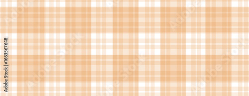 Plaid simple print vector background