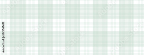 Plaid simple print vector background
