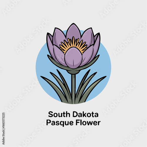 state flower; delicate minimalist South Dakota pasque flower icon for spring awakening