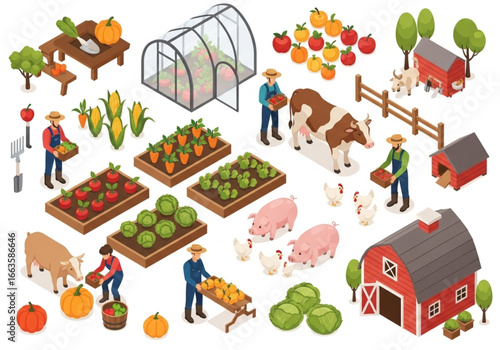 Isometric Farm Harvest Scene – Farmers with Crops, Animals & Agriculture Elements – Flawless Vector Set