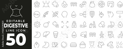 Digestion and Health set of web icons in line style. Body and anatomy linear icons collection. Containing stomach, bowel, digestive system, liver, pancreas, bladder, colon, medicine, immunity, pill