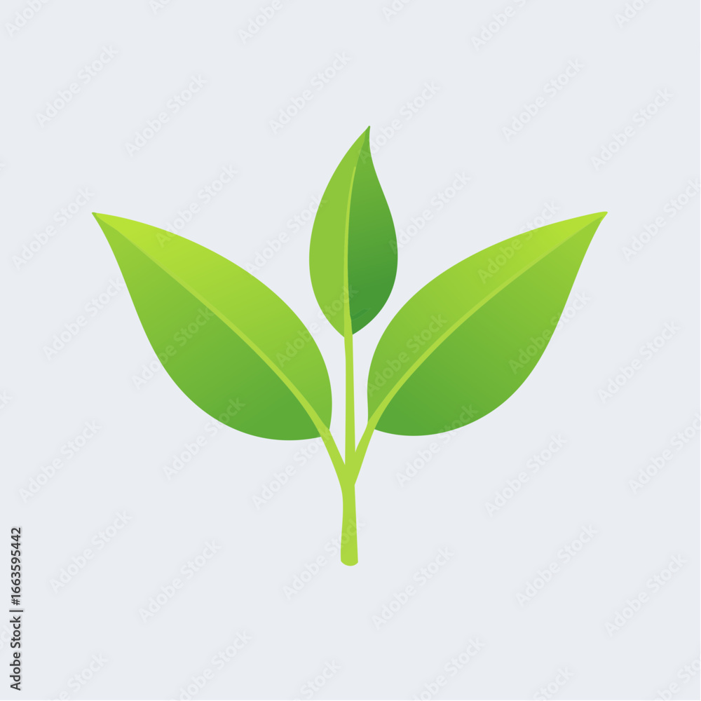 Fototapeta premium Three Green Leaves On Branch