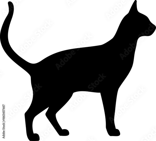 Elegant abyssinian cat silhouette in black vector art
