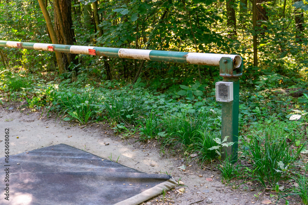 Fototapeta premium Forest road closed with a white and green barrier, disinfection mat at the entrance, element of sanitary protection and access control in woodland area.