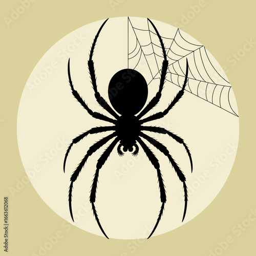 A striking silhouette of a spider adorned with a web captures the fascinating, often misunderstood elements of nature, portraying intrigue and a touch of fear.