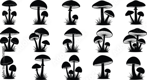 Mushroom Silhouette Vector Set – Wild Forest Mushrooms and Fungi Clipart Collection for Nature, Botanical, and Woodland Design Projects