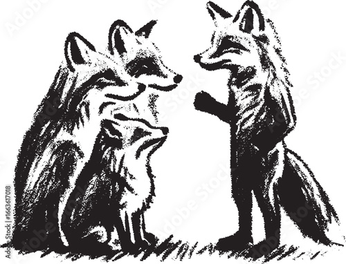 Illustration of Four Foxes: A Black and White Pen and Ink Drawing Style