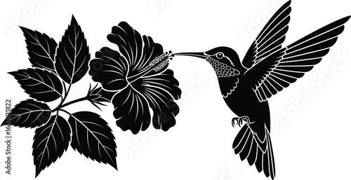 PrintBlack and white silhouette hummingbird feeding from hibiscus flower, detailed tropical floral vector, elegant wildlife nature pollination illustration for decorative design use