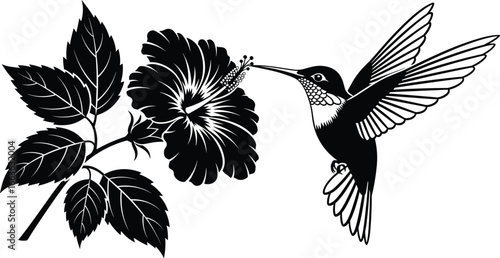 PrintBlack and white silhouette hummingbird hovering near hibiscus flower, detailed tropical floral vector, elegant wildlife nature pollination illustration for decorative design use