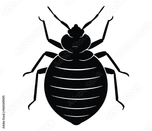 Bed bug. Black silhouette of an insect on a white background