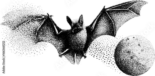 Flying bat stipple dotwork illustration with moon and night sky design for posters