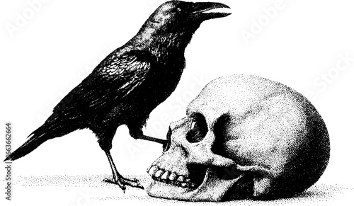 Stippling illustration of crow perched on skull - vintage artwork with dotwork technique
