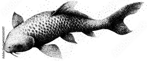 Intricate stippling and dotwork illustration of a koi fish design for tattoo art