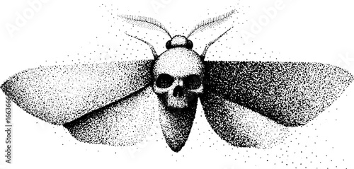 Intricate stippling dotwork illustration of moth with skull motif for tattoo design