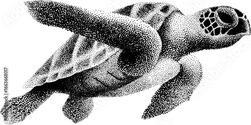 Stipple dotwork of sea turtle with vintage halftone effect for artistic design