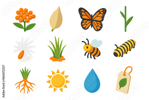 Colorful nature icons set with insects, plants, and sun elements in flat design