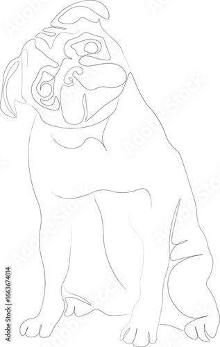 Pug portrait  illustration drawn in line art style