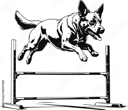 Black and white line art of dog jumping over training hurdle, thick smooth outline, clear bold strokes