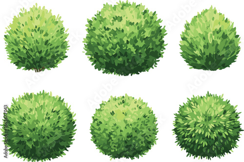 Green bush vector set, round shrubs illustration, realistic garden foliage, topiary plant design, decorative hedge clipart, nature landscaping elements
