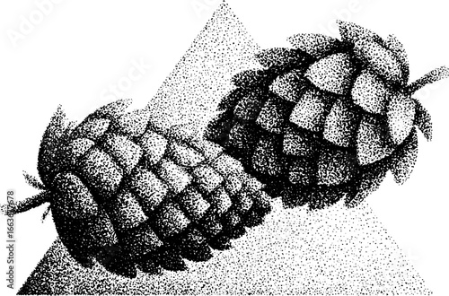Detailed stippling dotwork of hop plant with vintage halftone art effect