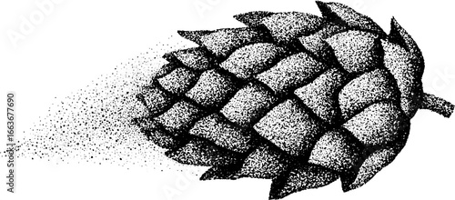Stippling dotwork art of hops cone morph - vintage design for craft beer label and tattoo