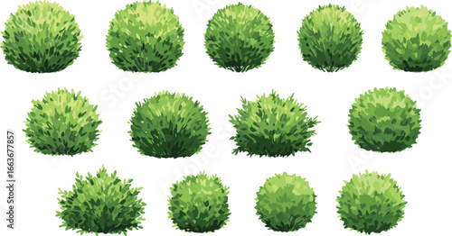 Round green bush set, garden shrub vector collection, realistic foliage illustration, decorative landscape element, topiary plant clipart design